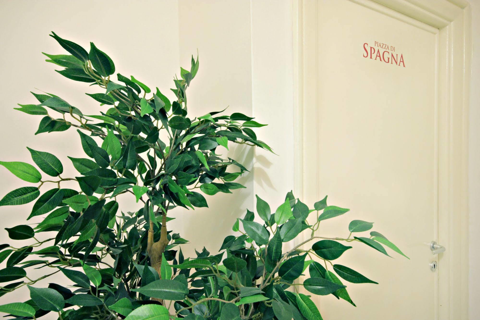 Le Piazze Di Roma Bed & Breakfast Exterior foto